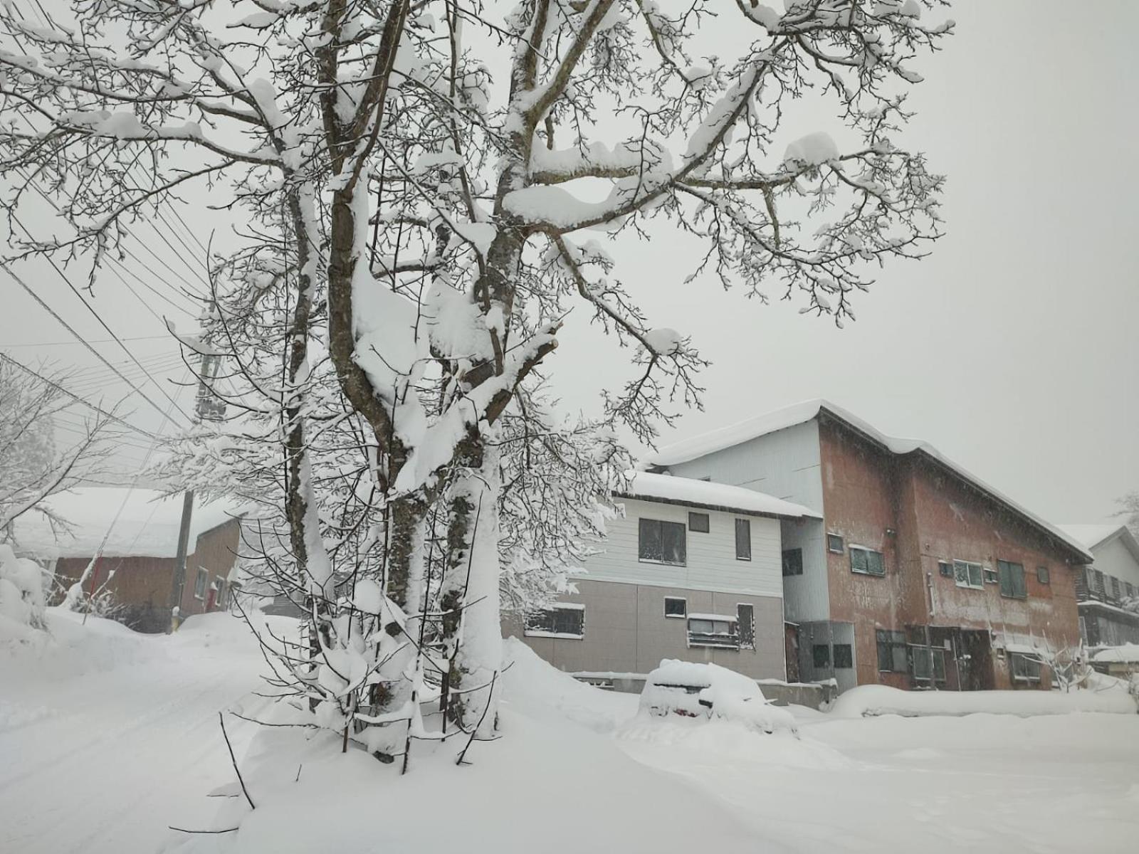 Peuf Lodge Otari Kültér fotó